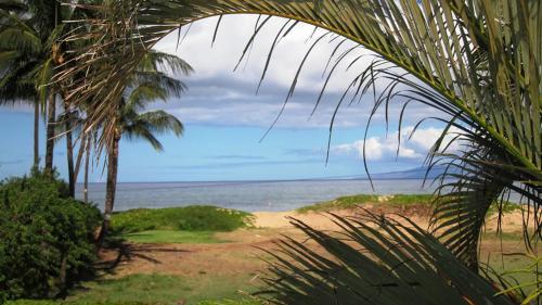 Waiohuli Beach Hale #a-203