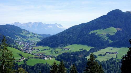 Hotel Gasthof Almhof