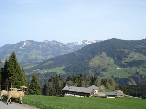 Agroturismo Biobauernhof Fleckl