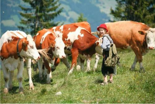 Agroturismo Biobauernhof Fleckl