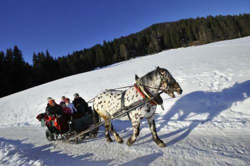 Agroturismo Biobauernhof Fleckl