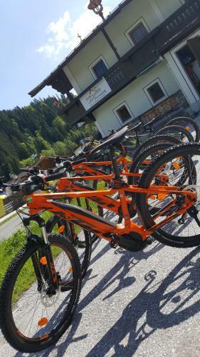 Hostal Gasthaus Mamooserhof
