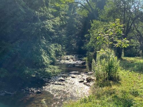 Tentrr Signature Site - Trout Meadow