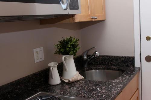 Apartamento Stylish Downtown Studio In The Southend, C.ave# 2