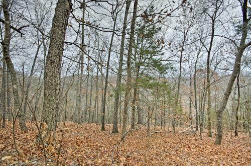 Updated Branson Home, 5 Min To Silver Dollar City!
