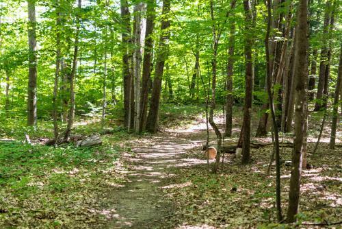Apartamento 3 Day Buffer! River Access, Near Conway Village And Theme Park Condo