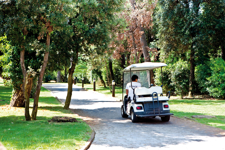 Hotel Green Park Resort