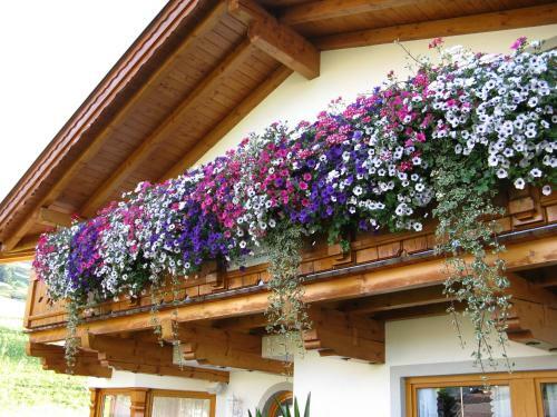 Apartamento Appartements Schneezauber