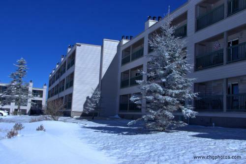 2102 - Silver 2 Bdrm - 1000 Sf Sleeps 4