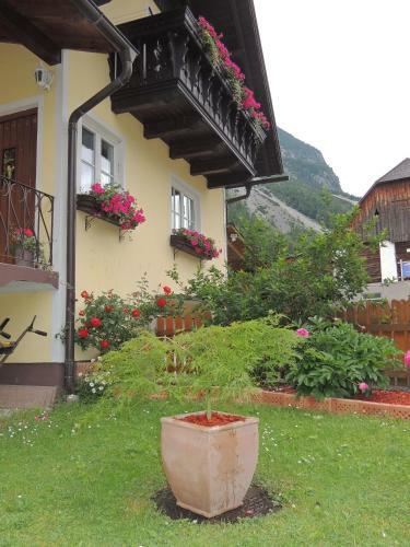 Apartamento Grimmingapartment Maier