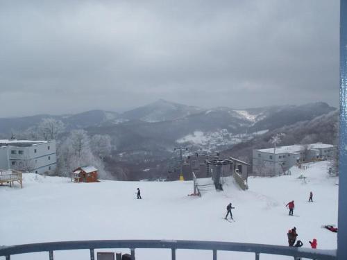 Sugar Ski & Country Club Unit 436