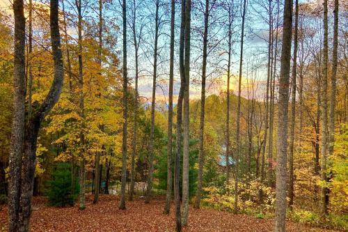 Secluded Mountain-view Cabin With Great Porch!
