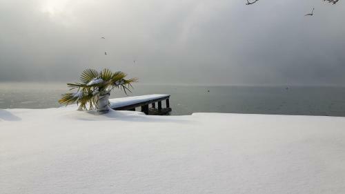 Hostal Hotel-pension Stallinger
