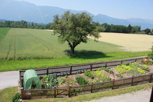 Apartamento Landhaus L�scher