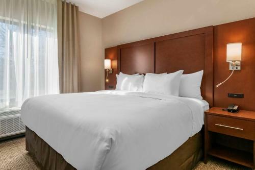 Hotel Comfort Suites Camp Hill-harrisburg West