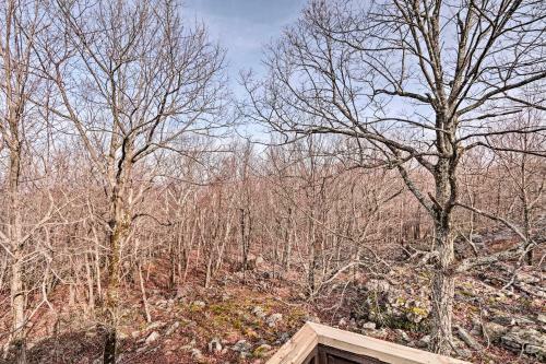 Tranquil Lake Harmony Haven - Great For Families!
