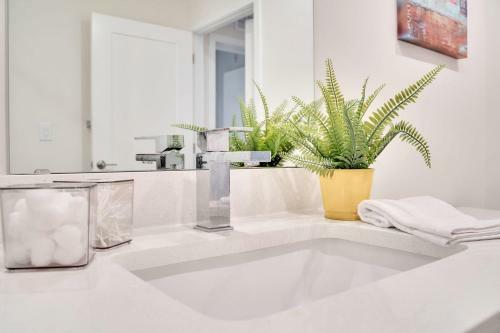 Apartamento New Listing Elevator Gym Rooftop Patio Coffee
