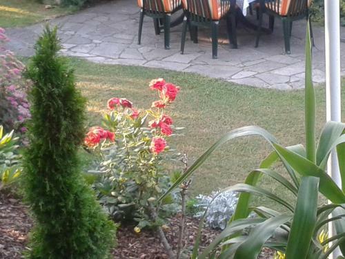 Hostal G�stehaus B�rwald