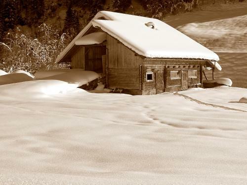 Apartamento Appartements Alpenrose