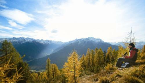 Hotel Alpina Nature-wellness