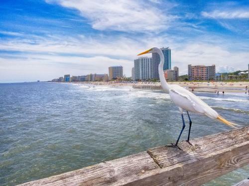 Apartamento Ocean Front 3rd Floor 1br