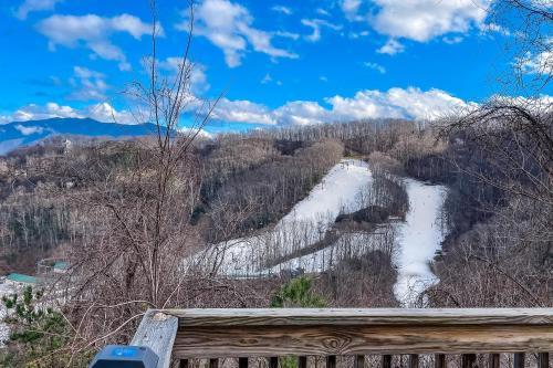 Bears On Skis A Smoky Mountain Lodge