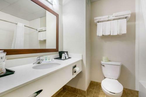 Hotel Quality Inn Monteagle Tn