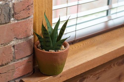 Tobacco 302