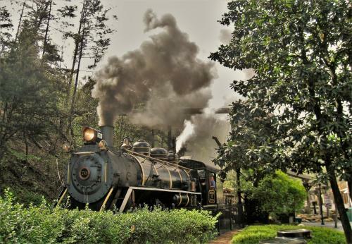 New Listing Free Area Attraction Tickets!!!