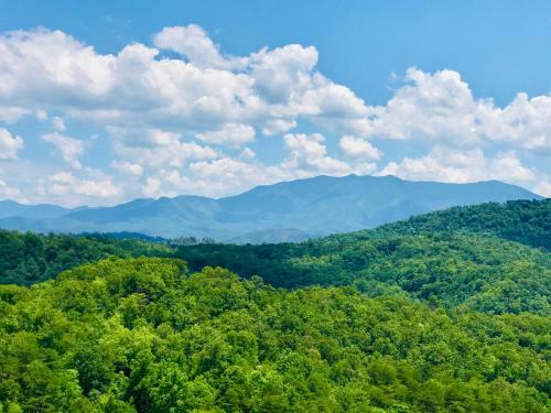 A Higher Calling