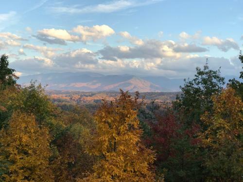 Grandpa Bear's View #233 By Aunt Bug's Cabin Rentals