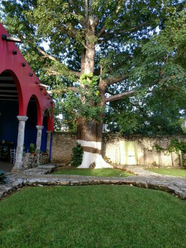 Hostal Tunich Beh