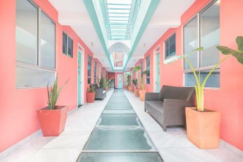 Hostal Flamingo Hostel & Coworking