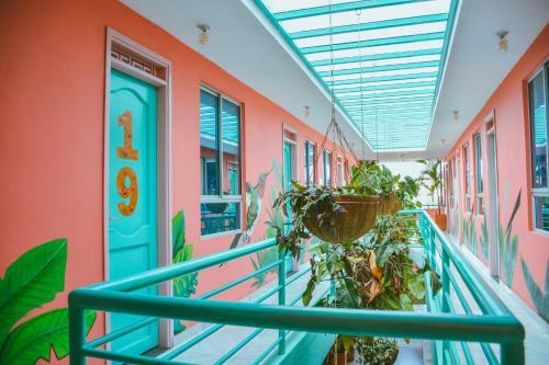 Hostal Flamingo Hostel & Coworking