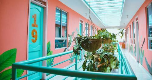 Hostal Flamingo Hostel & Coworking