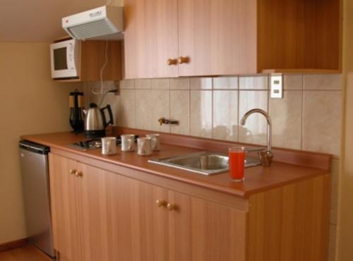 Apart Hotel Villa Los Ciruelos