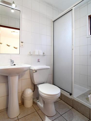 Apart Hotel Villa Los Ciruelos
