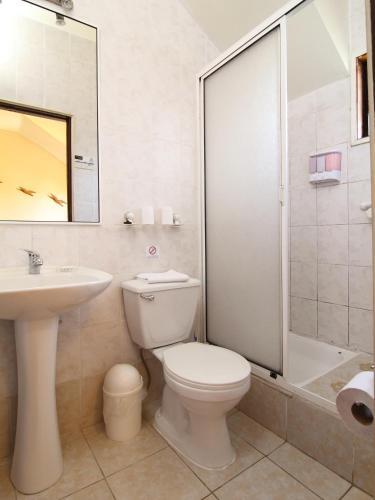 Apart Hotel Villa Los Ciruelos