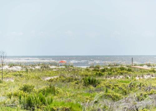 Fripp Island - Patterson's Paradise