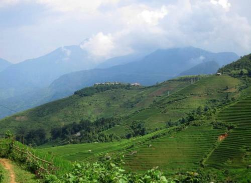 Hostal Sapa Homestay In Remote Village