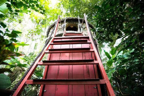 Hostal ?�o Anh Kh�nh Tree House Homestay