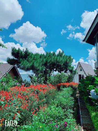 Hotel Bungalow Lam Phuong Cac Hill