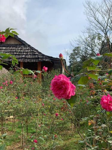 Apartamento Rose Farm Homestay