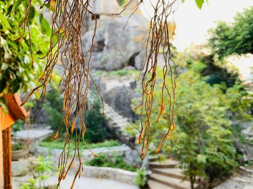 Trang An Mountainside Homestay