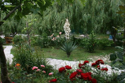 Hostal Guesthouse Maruska