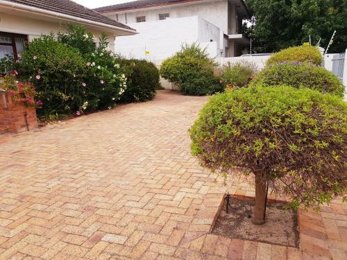 Bed & Breakfast Executive Rooms Belville
