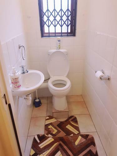 Bed & Breakfast Executive Rooms Belville