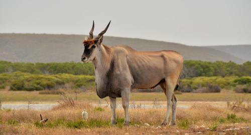 Hotel de Hoop Collection - Equipped Cottages