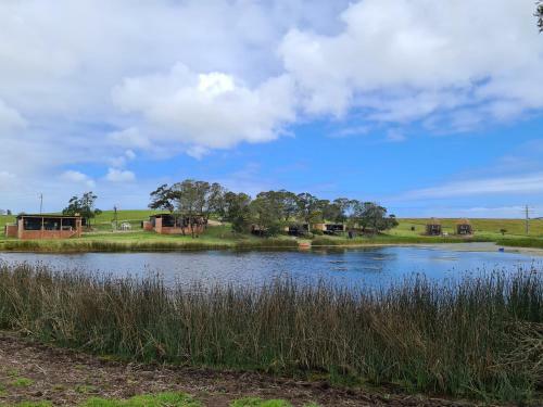 Lodge Buff & Fellow Eco Cabins