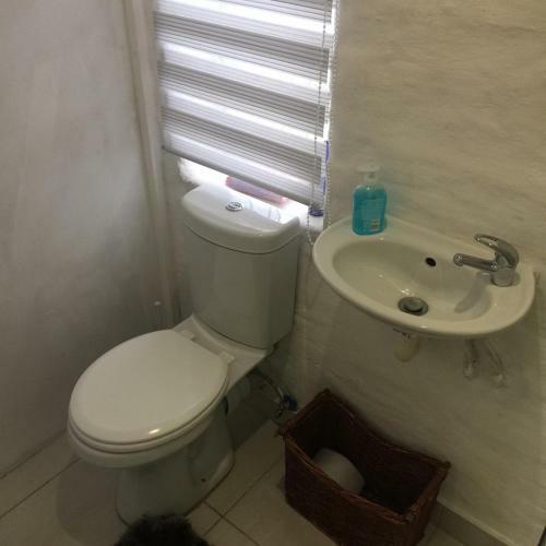 Hostal Patzerella's Cozy Nest